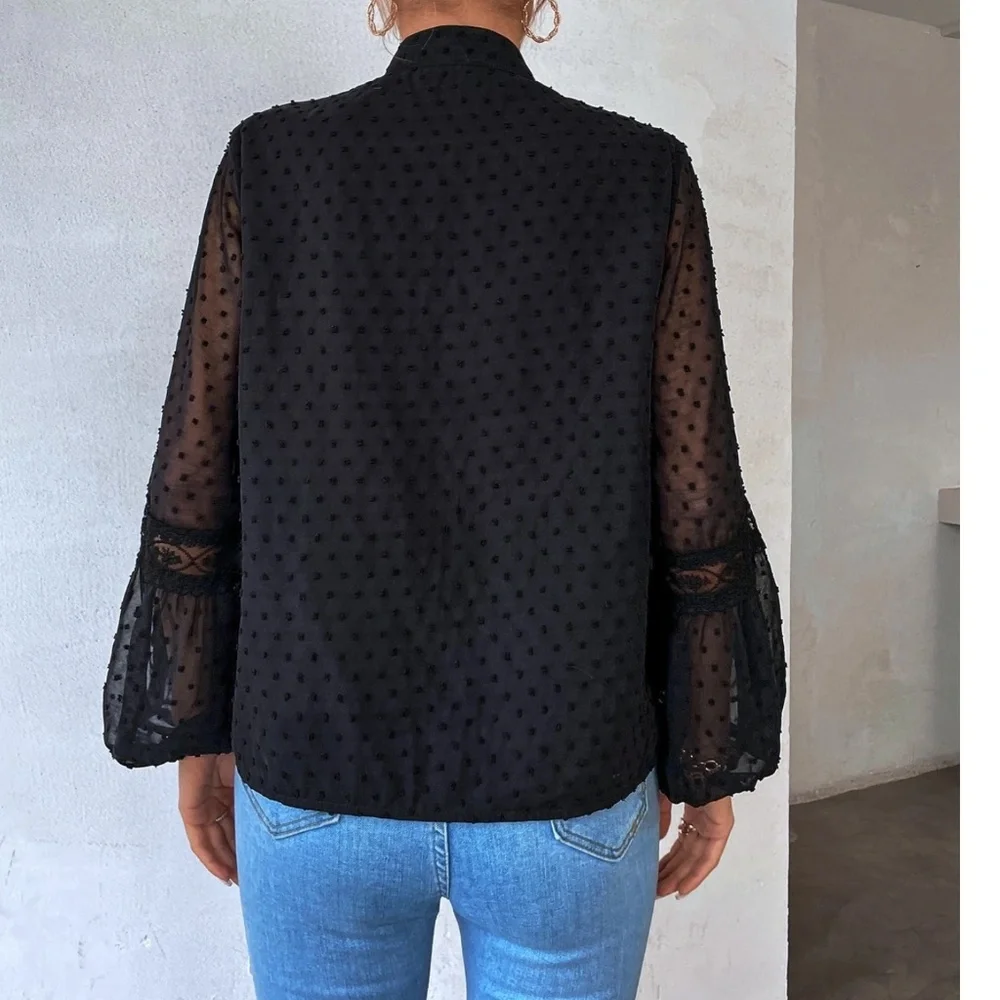 Swiss Dot V neck Tassel Tie Semi Sheer Long sleeve Top